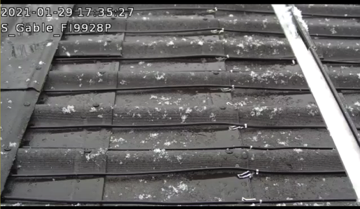 Screen Shot 2021-01-31 at 1.29.41 PM.png